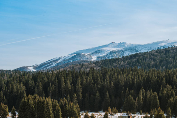 όμορφο χειμερινό τοπίο με αειθαλή δέντρα και βουνά - Φωτογραφία, εικόνα