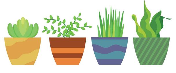 vektorová grafika, stolní rostlina, domovní rostlina s barevnými květináči - Vektor, obrázek