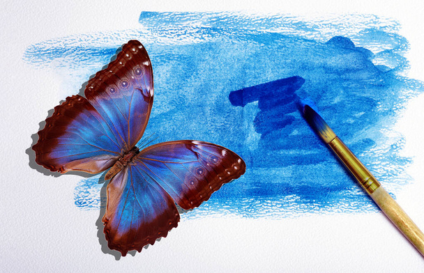 art concept. watercolor paper in blue paint, brush and blue tropical butterfly morpho. - Foto, afbeelding
