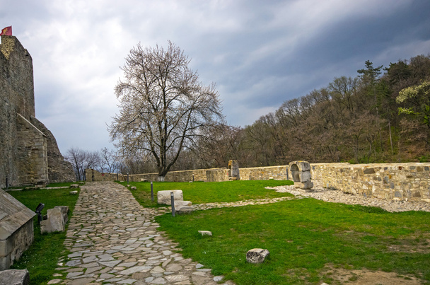 Neamt fortress ruins - Photo, Image