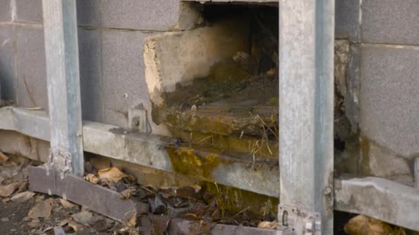 Video von zerbrochener Hausfassade durch Vandalen - Filmmaterial, Video