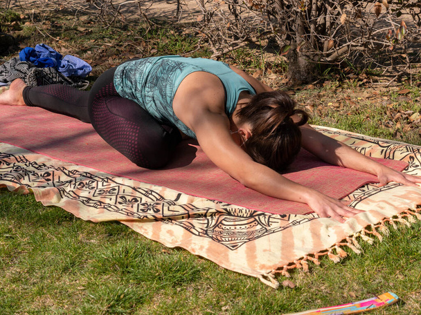 A brunette woman doing yoga class in a park on a sunny day - Zdjęcie, obraz