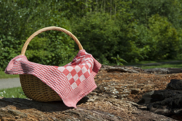 picknick tijd - Foto, afbeelding