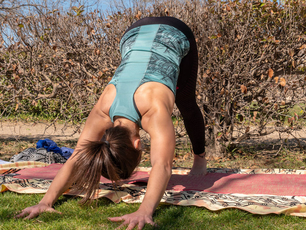 A Spanish brunette female practicing yoga in a park on a sunny day - Φωτογραφία, εικόνα