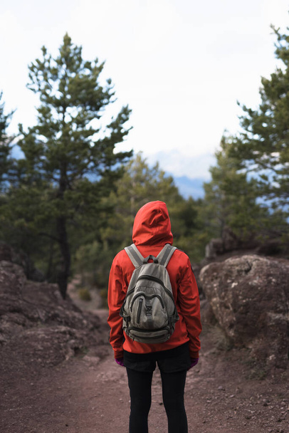 A hiker woman from behind with a backpack, looking at trees on a rocky hill with her hood on - Foto, Bild