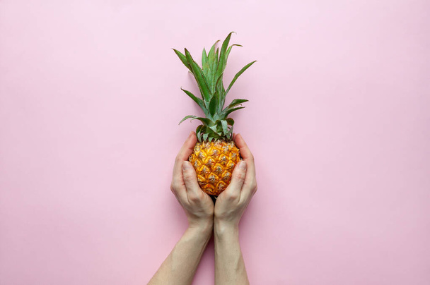 hands holding a small ripe pineapple on a pink background - Photo, image
