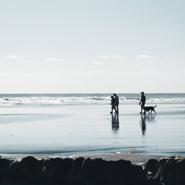 Uma bela silhueta de uma família andando em uma praia de areia com um cão durante o sol - Foto, Imagem