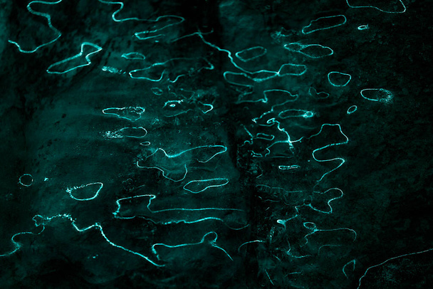Хвилі світлових відображень на темному тлі. Анотація кривих ліній флуоресцентного світла на поверхні льоду. Темний фон з органічними, рідкими вогнями
. - Фото, зображення