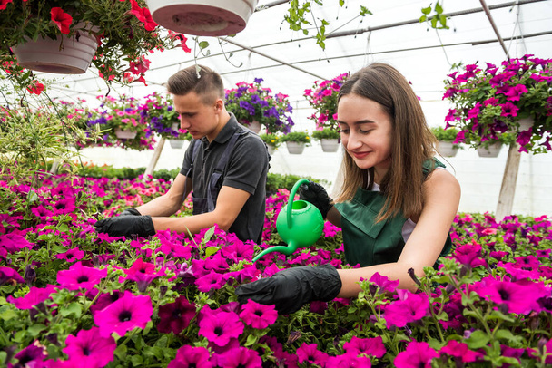 Dos jóvenes satisfechos regando plantas en un hermoso centro de jardinería. Trabajo en invernadero - Foto, Imagen