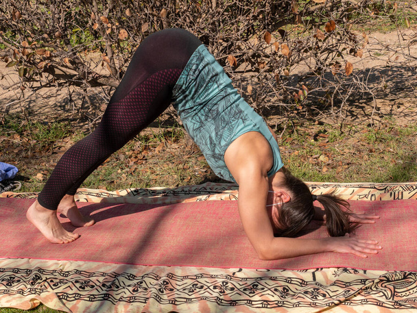 A brunette woman doing yoga class in a park on a sunny day - Foto, Imagen