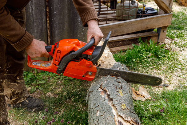 Working with a chainsaw for firewood - Фото, зображення