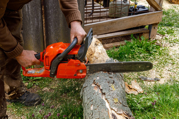 Travailler avec une tronçonneuse pour bois de chauffage - Photo, image