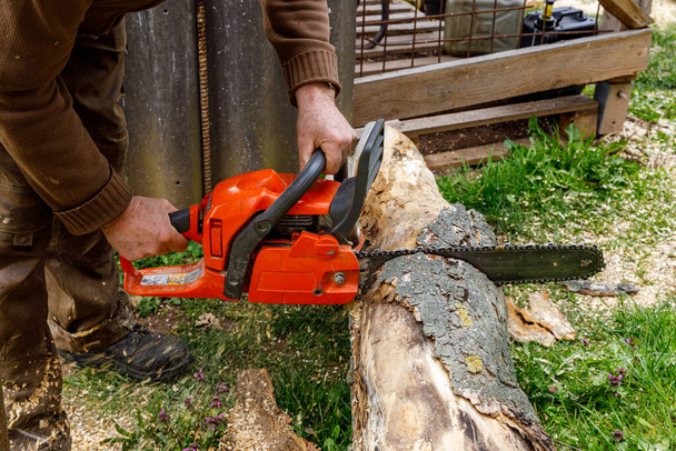 Travailler avec une tronçonneuse pour bois de chauffage - Photo, image
