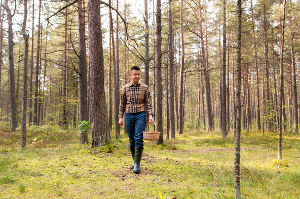happy man with basket picking mushrooms in forest - Fotografie, Obrázek