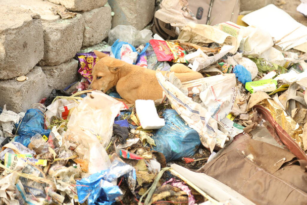 Garbage dump at rural area - Photo, Image