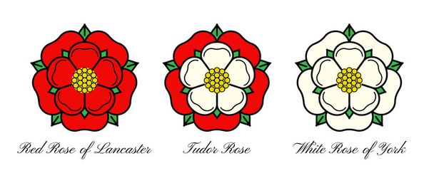 Tudor αυξήθηκε διάνυσμα απομονωμένη εικόνα. Παραδοσιακό εραλδικό έμβλημα της Αγγλίας. Ο πόλεμος των τριαντάφυλλων των σπιτιών Λάνκαστερ και Γιορκ. - Διάνυσμα, εικόνα