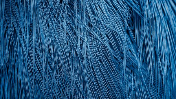 blue pheasant feathers with dark stripes. background - Фото, изображение
