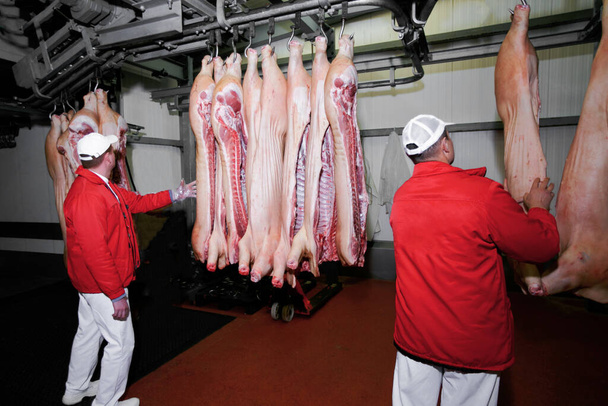 Два інспектора в червоному і білому накладках перевіряють якість шматків свинини на заводі. Гойзонтальний вид. - Фото, зображення