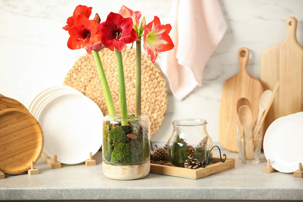 Beautiful red amaryllis flowers and tableware on counter indoors - Valokuva, kuva
