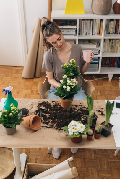 woman gardening houseplants at home - Фото, изображение