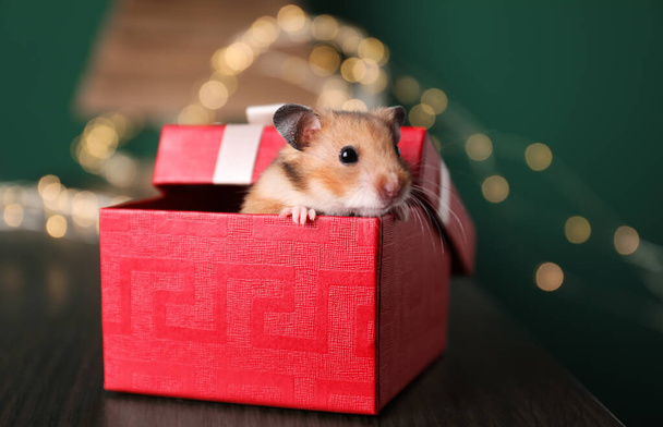 Cute little hamster looking out of gift box on wooden table, closeup - Photo, Image