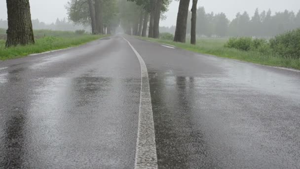 asfalt üzerinde yağmur suyu - Video, Çekim