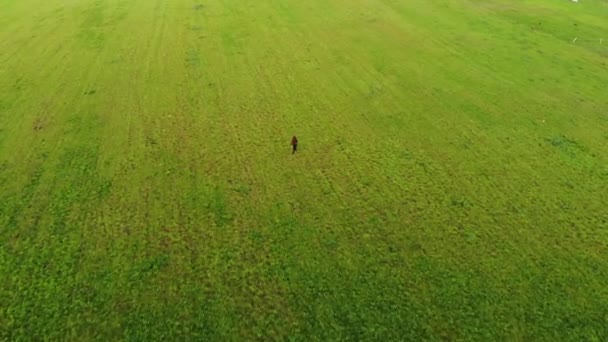 Schieten van drone van een jong meisje in een zwarte trench jas lopen over een enorme groene veld tegen de achtergrond zonsondergang - Video