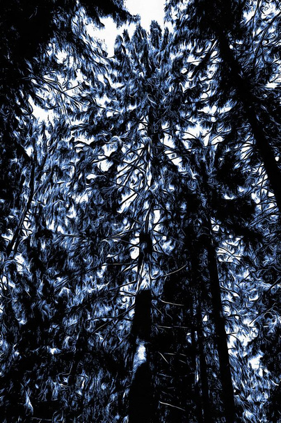 bosque congelado en invierno con efecto de pintura al óleo - Foto, Imagen