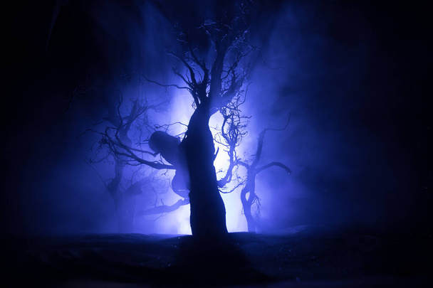 Paisagem escura assustadora mostrando silhuetas de árvores no pântano na noite enevoada. Noite floresta misteriosa em tons frios. ramos de árvore contra a lua cheia e céu noturno nublado dramático - Foto, Imagem