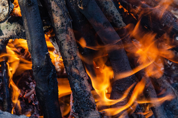 Abrir fogo. Um fogo feito de lenha de madeira para cozinhar kebab shish - Foto, Imagem