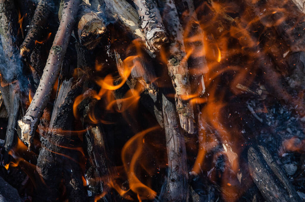 Ανοίξτε πυρ. Μια φωτιά από ξύλινα καυσόξυλα για μαγείρεμα shish kebab - Φωτογραφία, εικόνα