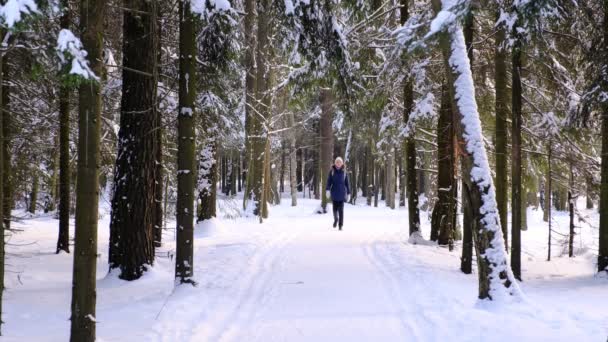 Weibchen in Winterkleidung und Rucksack laufen an sonnigen, kalten Tagen auf einer Landstraße, umgeben von Nadelwäldern. eine Frau geht auf die Kamera zu und lächelt - Filmmaterial, Video