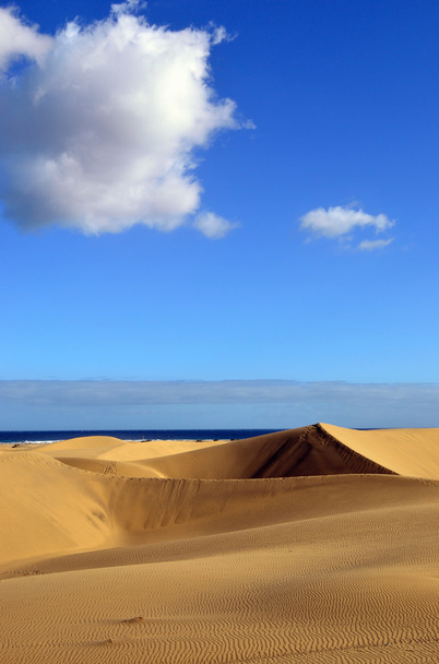 Dune Maspalomas - Φωτογραφία, εικόνα