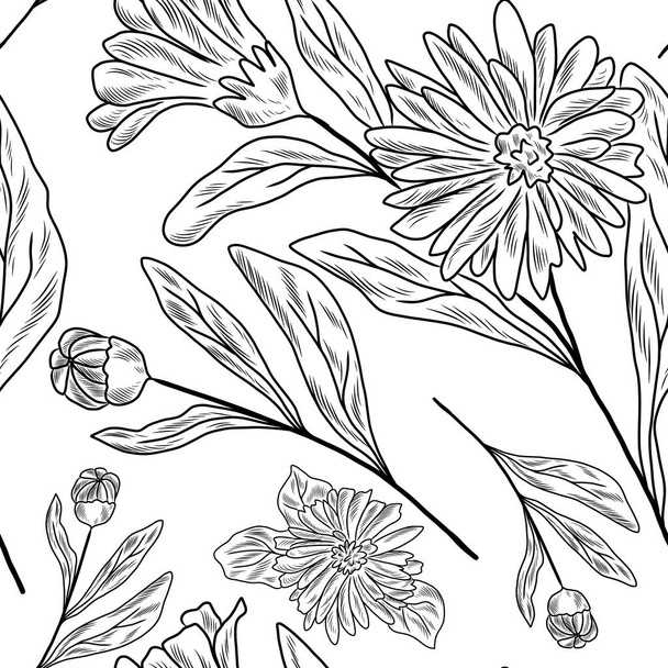 Calendula plant on the seamless pattern, hand drawn illustration - Vetor, Imagem