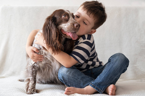 Little cute boy obejmować pocałunek rosyjski pies spaniel brązowe różne kolory oczu. Usiądź.  - Zdjęcie, obraz