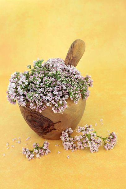 Valerian herb flowers in a mortar with pestle. Used in herbal medicine to treat insomnia, anxiety, headaches, digestive problems, menopause symptoms, muscle pain and fatigue. Valeriana officinalis. - Photo, Image