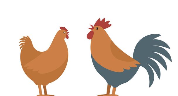 Set of domestic birds from the farm. Rooster and hen. template for the poultry farm. vector logo illustration isolated on white background - Vector, Image