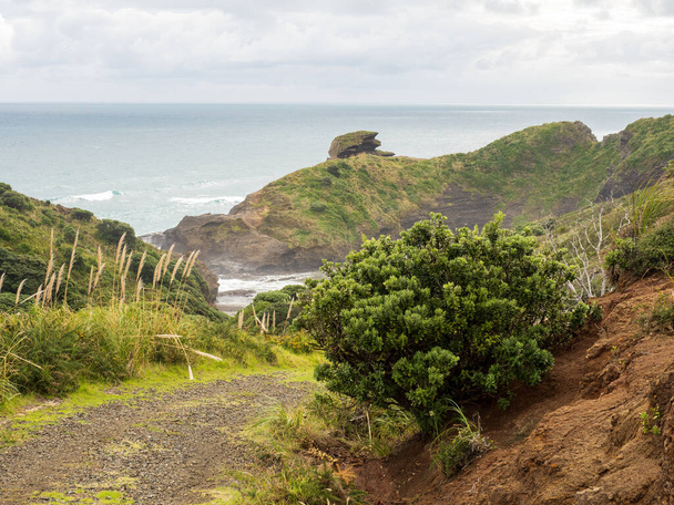Pohled na ostrov Taitomo (Camel Rock) v Piha, Auckland, Nový Zéland - Fotografie, Obrázek
