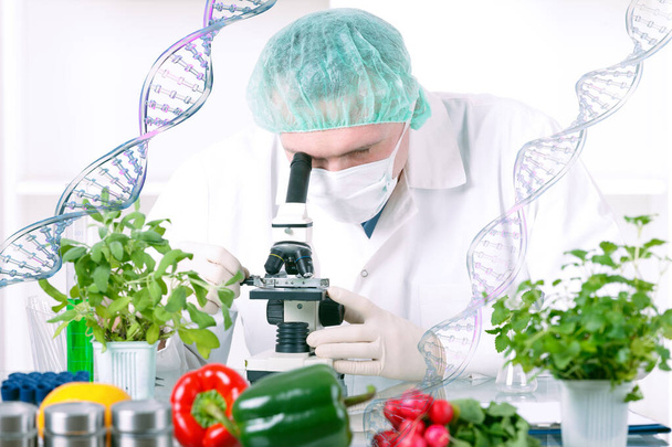 Ερευνητής με γενετικά τροποποιημένα φυτά. Γενετικά τροποποιημένος οργανισμός ή GEO είναι ένα φυτό του οποίου το γενετικό υλικό έχει τροποποιηθεί με τη χρήση τεχνικών γενετικής μηχανικής - Φωτογραφία, εικόνα