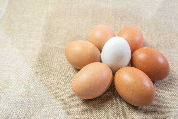 Λευκό αυγό μέσα σε πολλά αυγά σε σάκο φόντο. αυγό κοτόπουλου μέσα σε αυγό πάπιας ή Διαφορετικός άνθρωπος στην κοινωνική ή διαφορετική επιχειρηματική έννοια. Επιλεκτική εστίαση. Η ιδέα της ζωής των μοναχών. σχήμα λουλουδιού. - Φωτογραφία, εικόνα