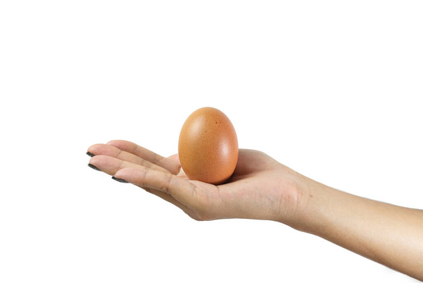 Donne asiatiche isolate mano tenendo un uovo su uno sfondo bianco, con spazio copia per il messaggio. percorso di ritaglio. - Foto, immagini