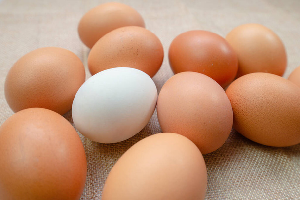 Bílé vejce uvnitř mnoha vajec na pozadí pytle. kuřecí vejce uvnitř kachní vejce nebo různé lidské v sociální nebo jiné obchodní koncepce. Selektivní soustředění. Life of Alone concept. - Fotografie, Obrázek
