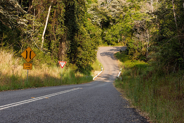 Kręta wiejska droga w Eungella w tropikalnym North Queensland z wąskim mostem i dają znak z gęstą roślinnością tropikalną na skraju drogi. - Zdjęcie, obraz