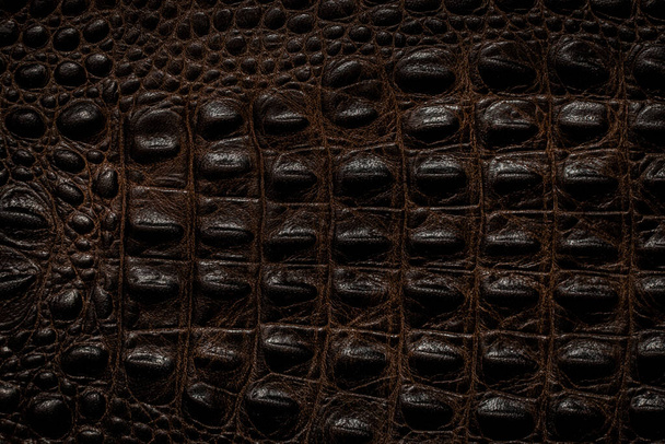 крокодиловая кожа в качестве фона крупным планом - Фото, изображение