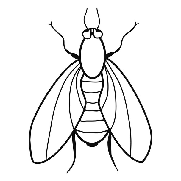 Contour fly icon. Creative illustration. Black sketch. Idea for decors, logo, patterns, papers, covers, gifts, summer and autumn garden, insect natural themes. Isolated vector art. - ベクター画像
