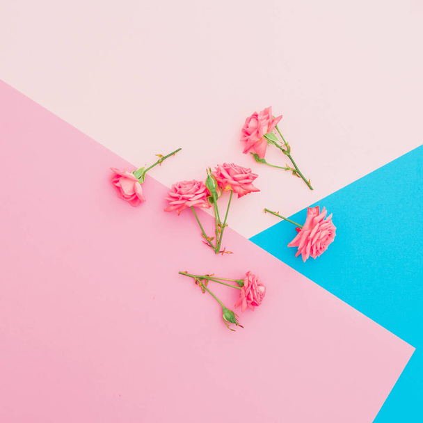 Colorful background with pink roses flowers. Flat lay. Top view - Photo, image