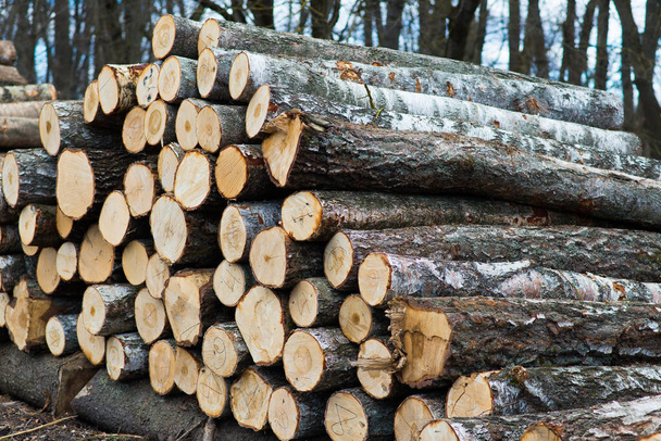 Σωρευμένη ξυλεία πεύκης για οικοδομικά κτίρια, Backgrounds - Φωτογραφία, εικόνα