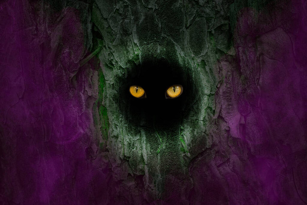 Turuncu gözler, mistik mor sis etrafındaki bir ağacın karanlık boşluğunda parıldıyor. Doğa konsepti için soyutlama. - Fotoğraf, Görsel