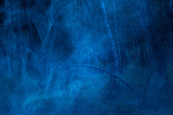 Bogen von dünnen umgestürzten Baum in der Nacht Wald mit blauen mystischen Nebel Konzept der Wildnis niemand in der Umgebung bedeckt - Foto, Bild