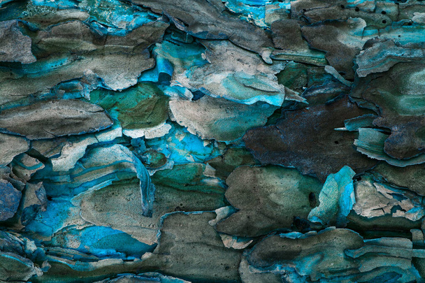 Magie bunte Textur einer wilden Kiefer Nahaufnahme eines hellen blauen Glitzers fantastischen Hintergrund für Design - Foto, Bild
